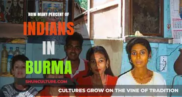 Exploring the Rich Diversity: Indians in Burma by Percentage