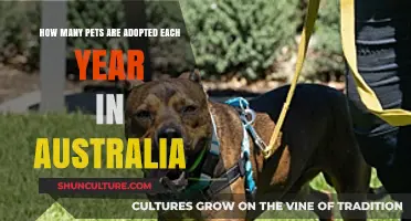 Annual Pet Adoption Rates in Australia: A Heartwarming Overview