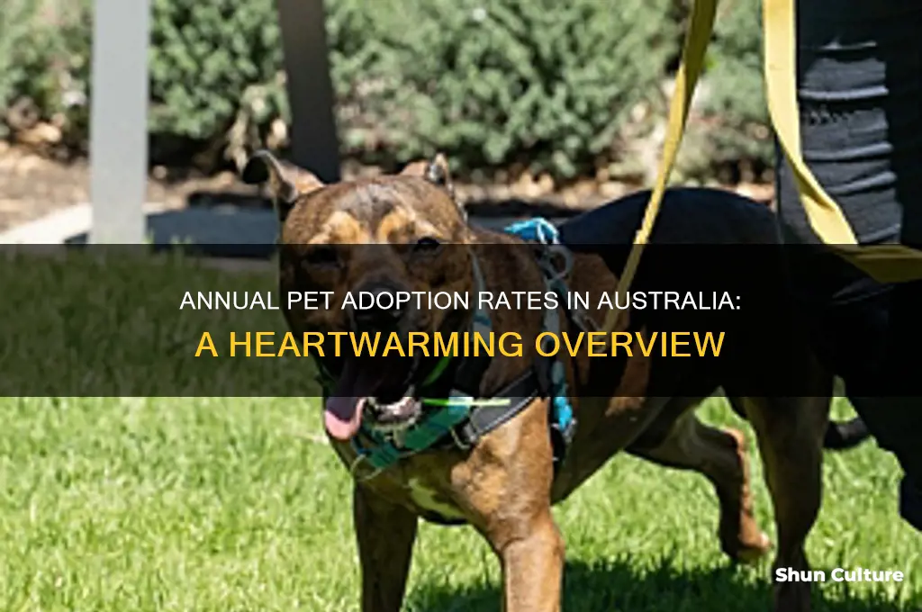 how many pets are adopted each year in australia