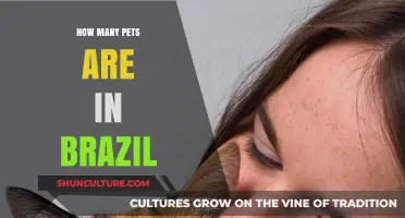 Exploring Brazil's Pet Population: How Many Furry Friends Call It Home?