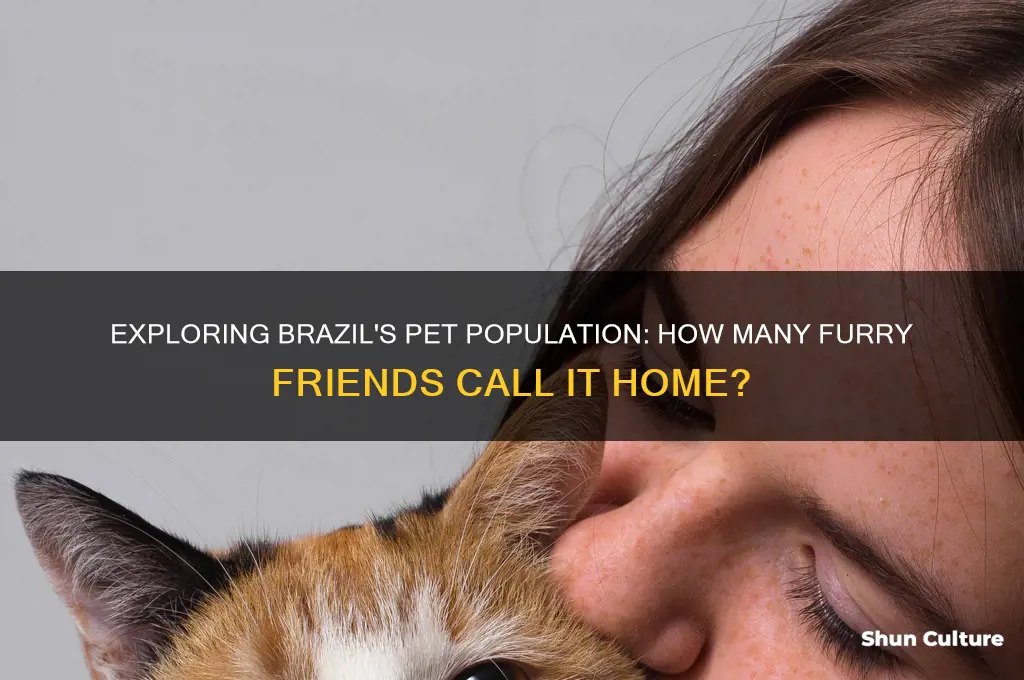 how many pets are in brazil