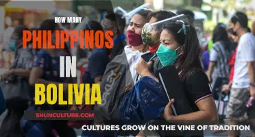 Filipino Migration to Bolivia: A Community's Growth