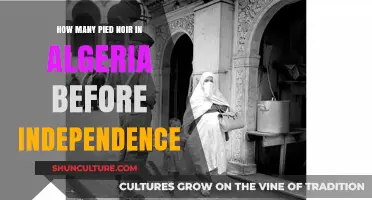 Pied-Noir Population in Pre-Independence Algeria: Historical Insights