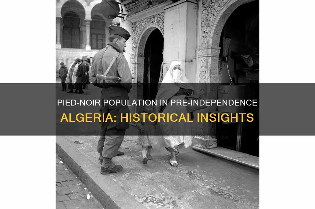 how many pied noir in algeria before independence