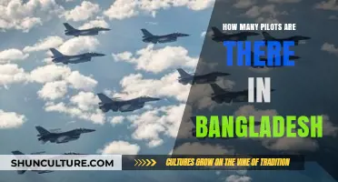 Exploring Bangladesh's Aviation: Total Number of Pilots in the Country
