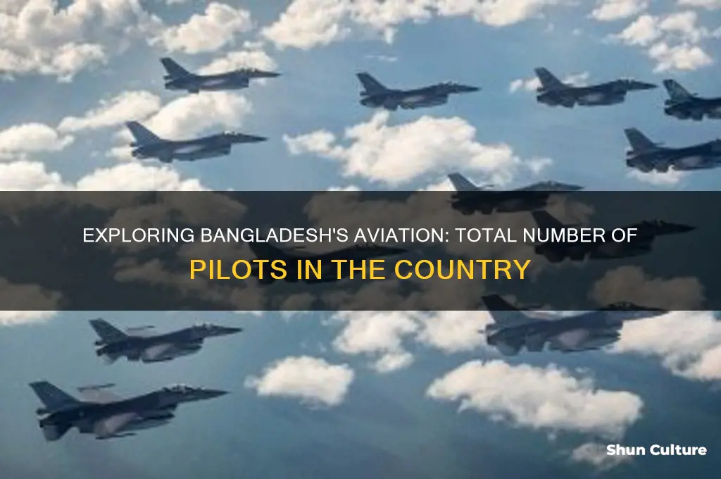 how many pilots are there in bangladesh