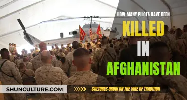 The Human Cost of War: Examining the Toll on Pilots in Afghanistan