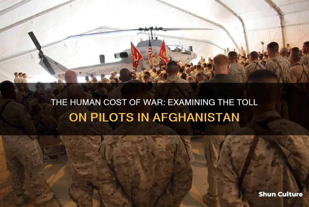 how many pilots have been killed in afghanistan