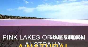 how many pink lakes are there in western australia