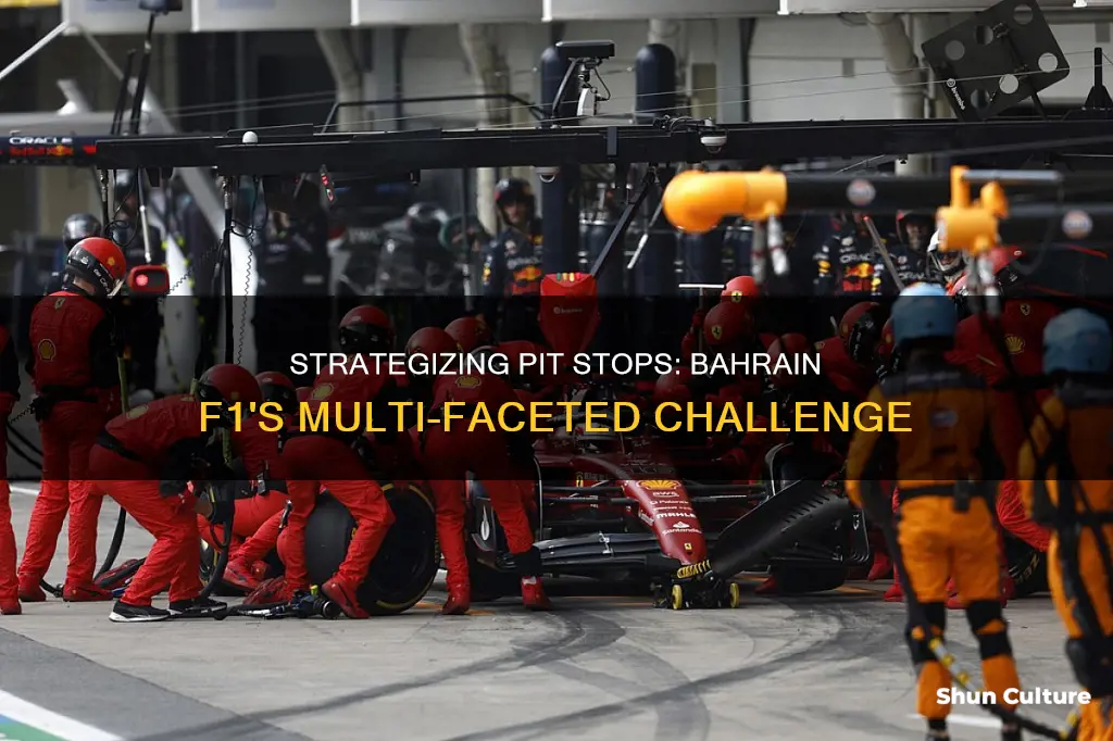 how many pit stops in bahrain f1