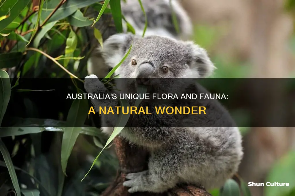 how many plants and animals are unique to australia