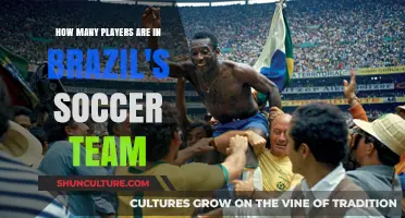 Brazil's Soccer Team: Unveiling the Squad Size and Player Count
