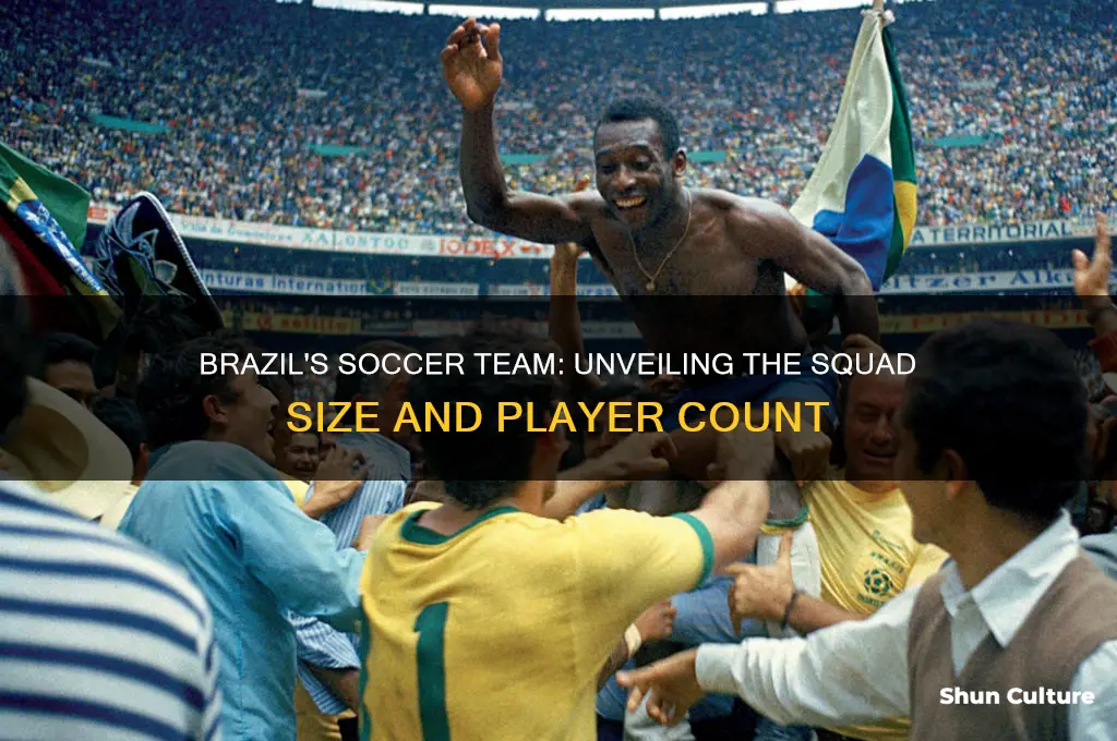 how many players are in brazil
