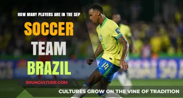 Brazil's SEP Soccer Team: Unveiling the Player Count