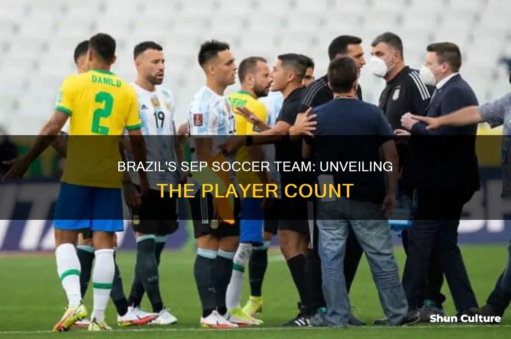 how many players are in the sep soccer team brazil