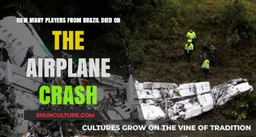 Brazil's Tragic Loss: Players Who Died in the Plane Crash
