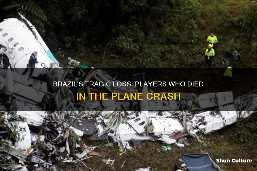 how many players from brazil died on the airplane crash