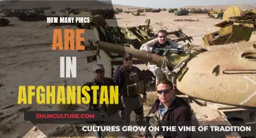 The Surge of Private Military Contractors in Afghanistan: A Comprehensive Overview