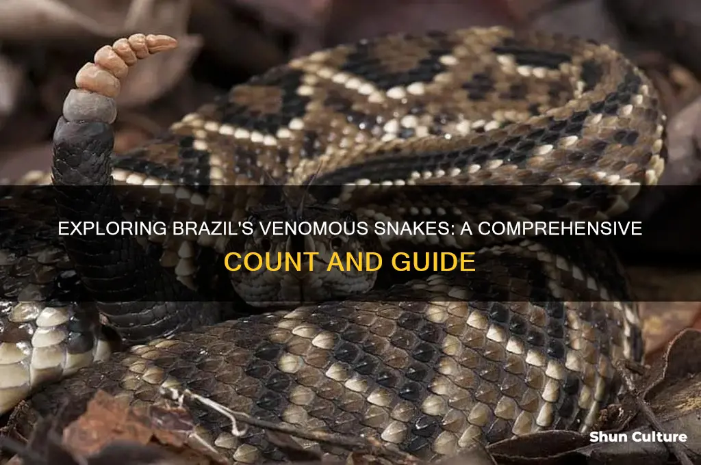 how many poisonous snakes are there in brazil