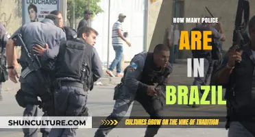 Brazil's Police Force: Understanding the Size and Scope of Law Enforcement
