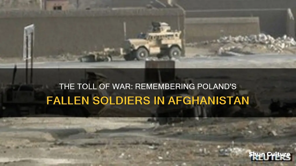 how many polish soldiers died in afghanistan