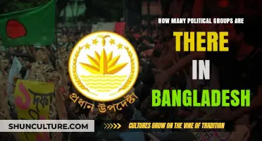 Exploring Bangladesh's Diverse Political Landscape: A Comprehensive Group Count