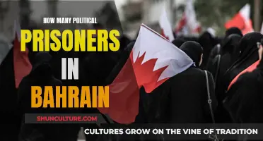 Bahrain's Dark Secret: Political Prisoners' Plight Revealed