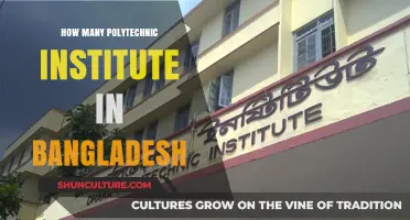 Exploring the Number of Polytechnic Institutes in Bangladesh
