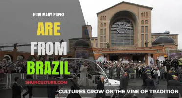 Exploring Brazilian Popes: How Many Have Led the Catholic Church?