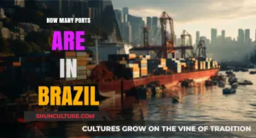 Exploring Brazil's Coastal Ports: A Comprehensive Guide to Their Number