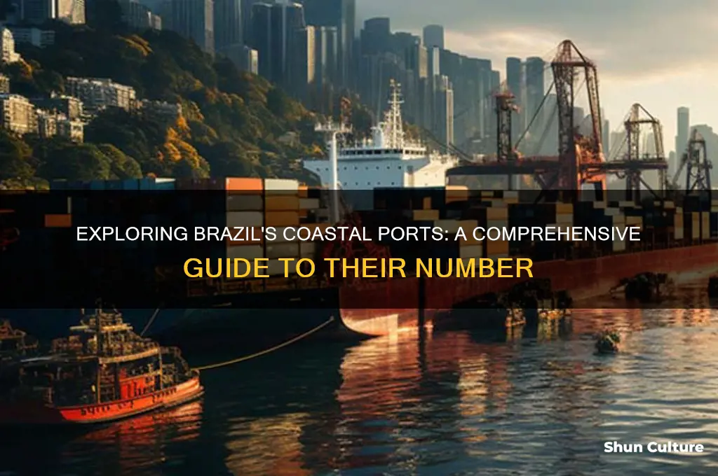 how many ports are in brazil