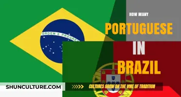 Portuguese Influence in Brazil: Exploring the Population and Cultural Impact