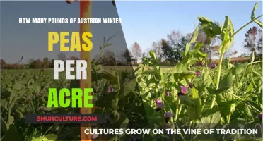 Maximizing Yields: Austrian Winter Peas' Potential Per Acre