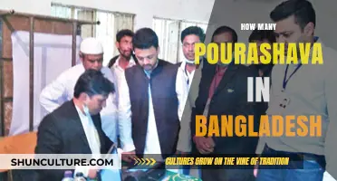 Exploring Bangladesh's Pourashava Count: A Comprehensive Overview