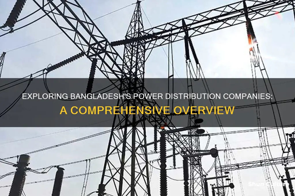 how many power distribution company in bangladesh