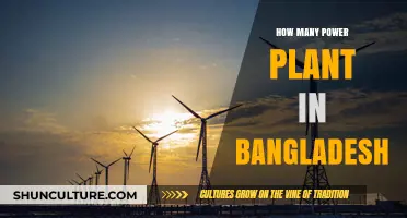 Exploring Bangladesh's Power Generation: How Many Power Plants Exist?
