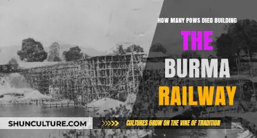 Tragic Toll: The Harrowing Story of POWs on the Burma Railway