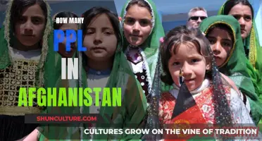 A Troubling Census: Counting Afghanistan's Elusive Population