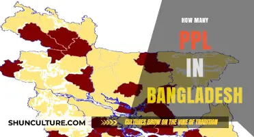 Exploring Bangladesh's Population: How Many People Call It Home?