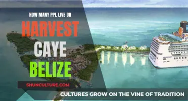 The Residents of Harvest Caye, Belize: A Vibrant Community