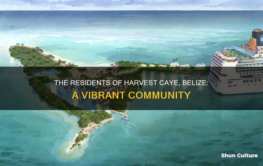 how many ppl live on harvest caye belize