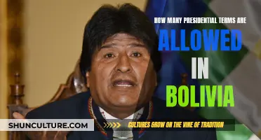 Bolivia's Presidential Term Limit Laws Explained