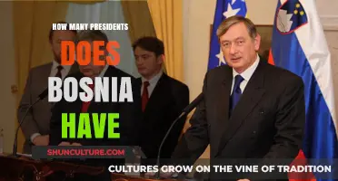 Understanding Bosnia's Unique Presidential Structure: A Comprehensive Guide