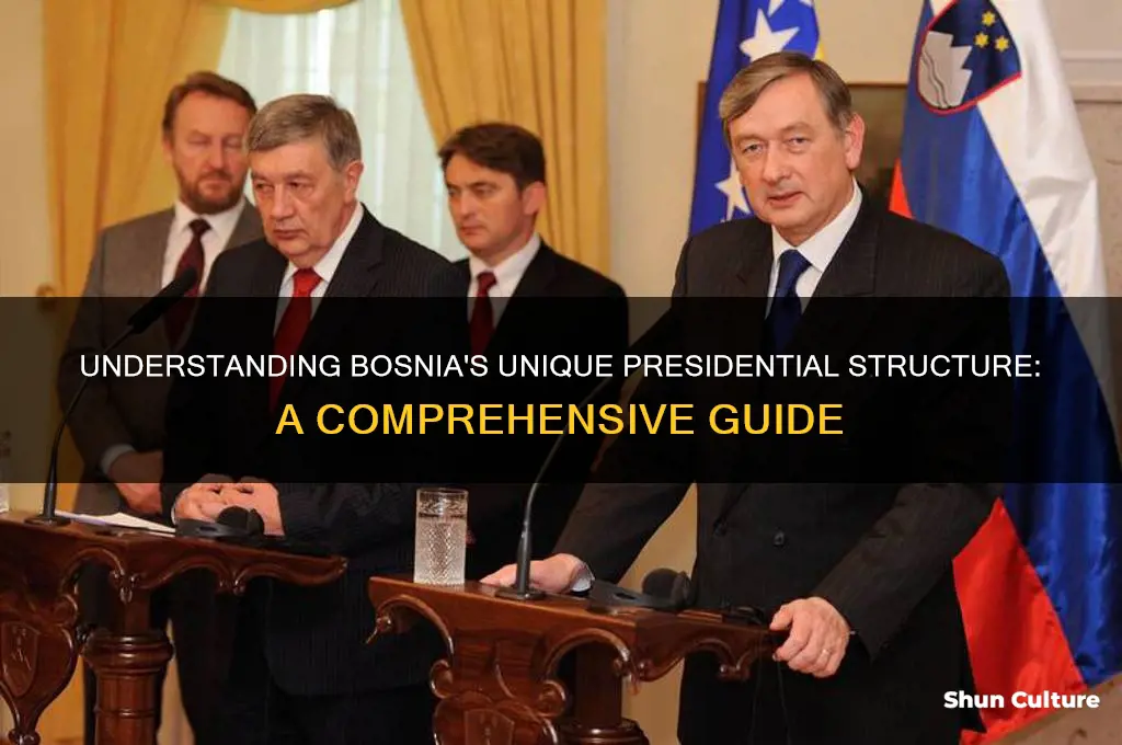 how many presidents does bosnia have