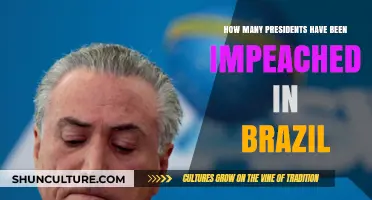 Brazil's Presidential Impeachments: A Historical Overview and Analysis