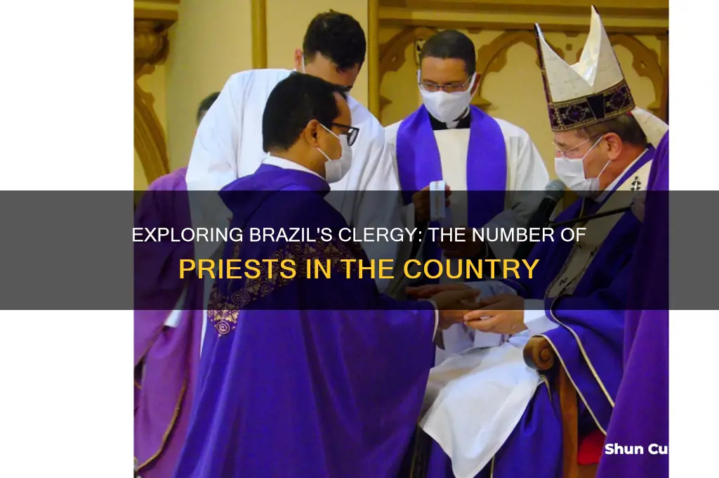 how many priests in brazil