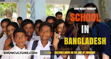 Exploring the Number of Primary Schools in Bangladesh: A Comprehensive Overview