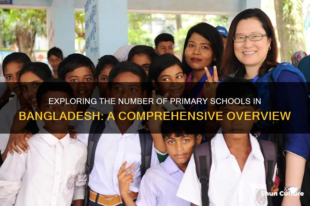 how many primary school in bangladesh