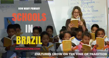 Exploring Brazil's Education System: Primary School Count and Insights