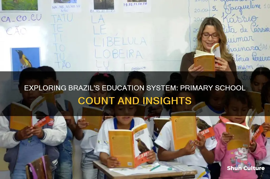 how many primary schools in brazil